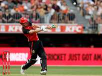 强竞争优势 强竞争优势