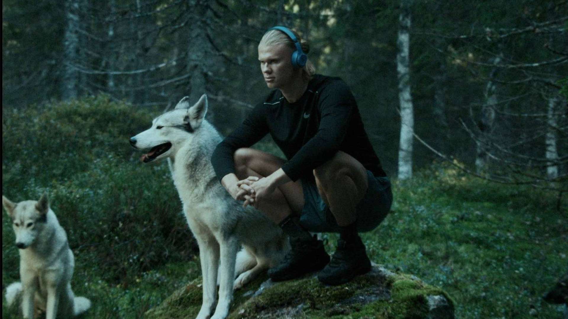 让我们拭目 让我们拭目